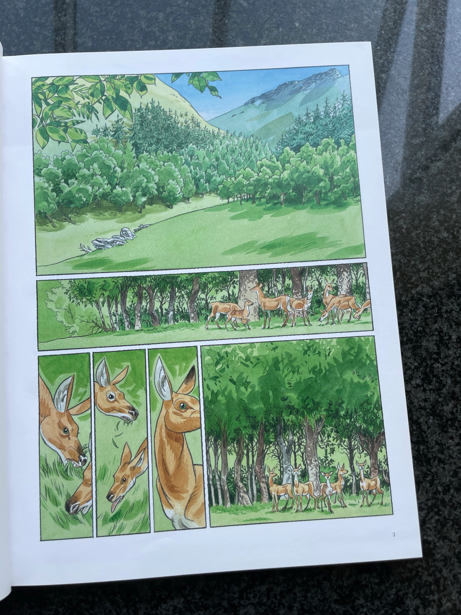 Bd the rest of the world / Jean-Christophe Chauzy / Casterman – photo 4